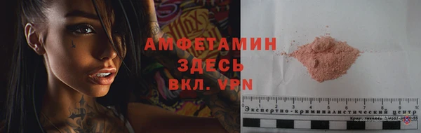спиды Новодвинск