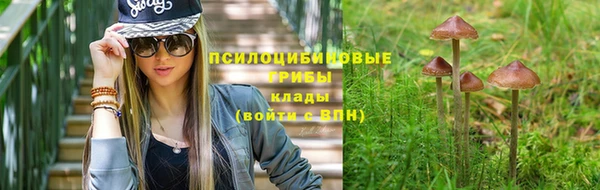 спиды Новодвинск