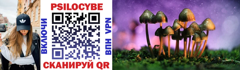 Галлюциногенные грибы Psilocybe  купить наркоту  Таганрог 